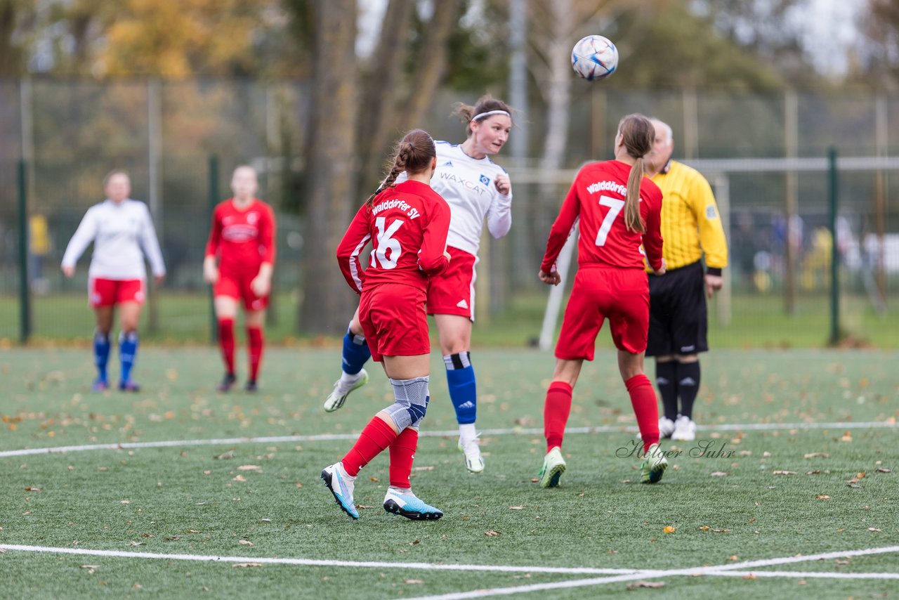 Bild 253 - F Hamburger SV 3 - Walddoerfer SV 2 : Ergebnis: 5:2